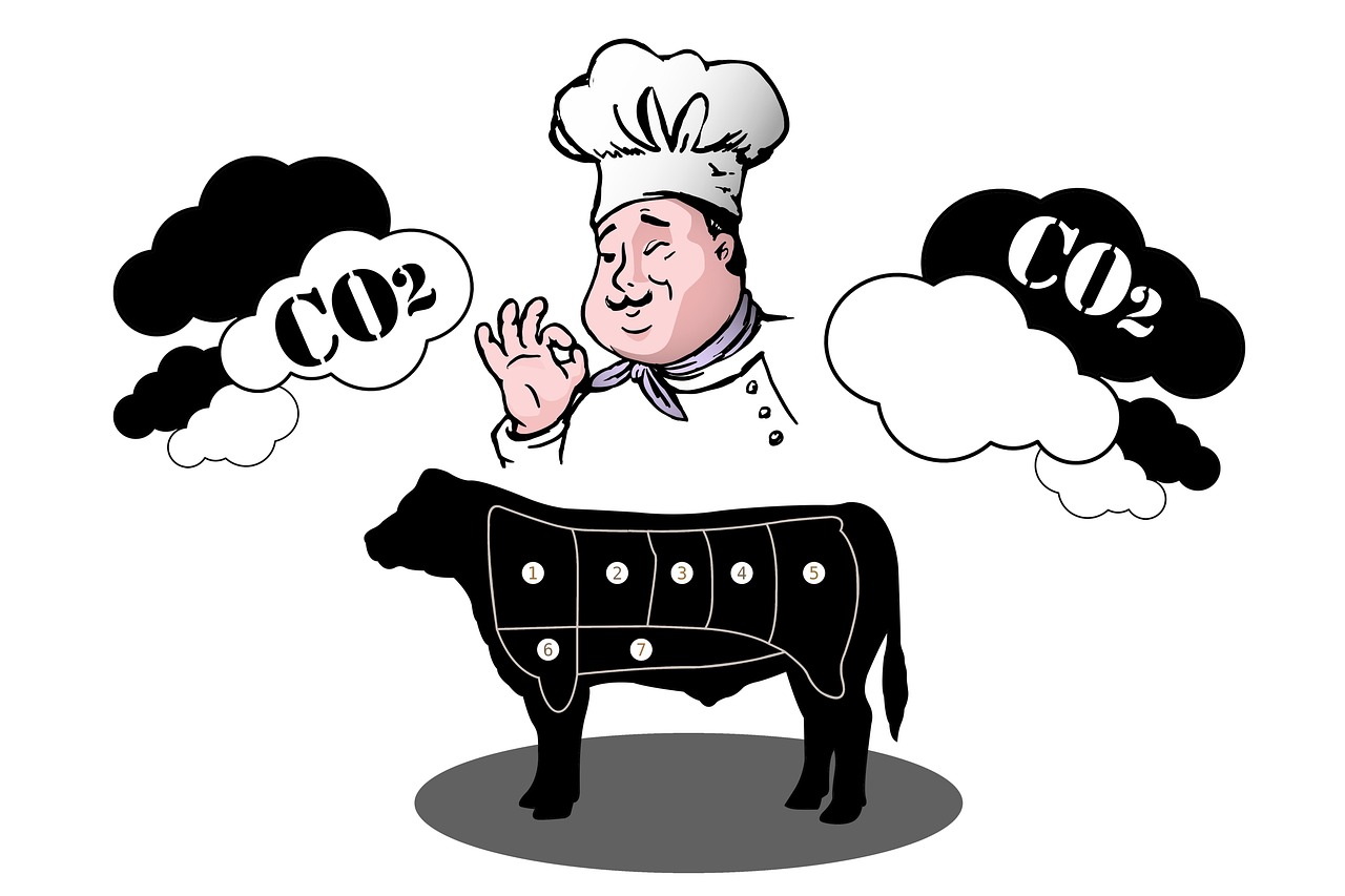 Mesure de l’empreinte carbone : comprendre son impact sur l’environnement