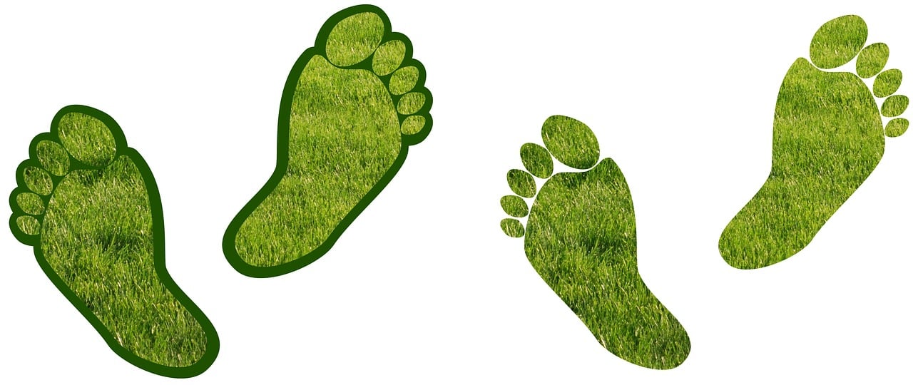 découvrez ce qu'est l'empreinte carbone, son impact sur l'environnement et comment réduire votre contribution à ce phénomène pour un avenir plus durable.