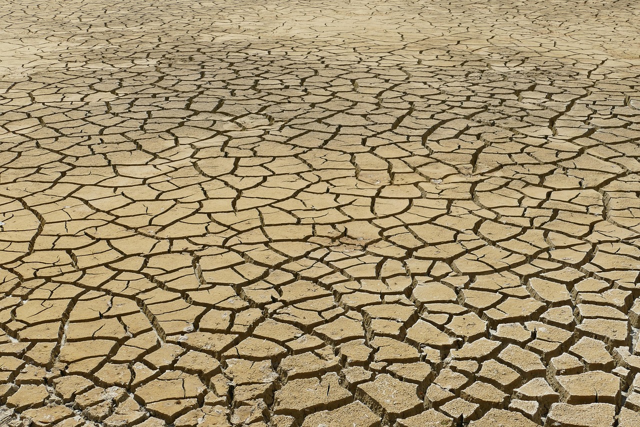 découvrez l'impact du changement climatique sur notre planète, ses causes, ses conséquences et les solutions possibles pour préserver notre environnement et notre avenir.