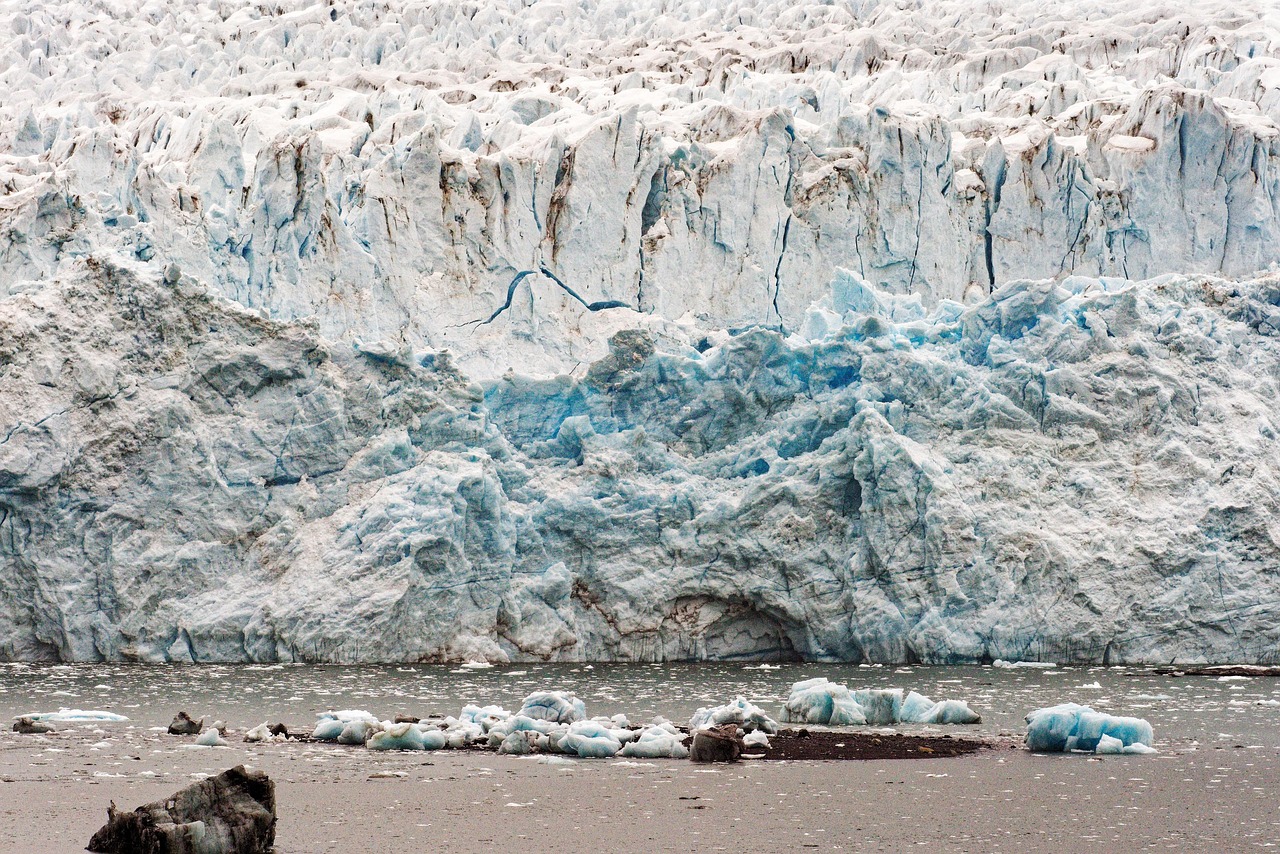 découvrez comment le changement climatique impacte notre planète, les causes sous-jacentes et les actions nécessaires pour préserver notre environnement pour les générations futures.