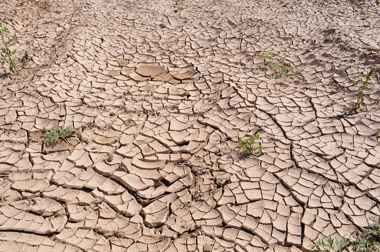 découvrez les enjeux de la désertification, un phénomène environnemental préoccupant qui menace la biodiversité et la sécurité alimentaire. explorez les causes, les conséquences et les solutions pour lutter contre cette crise qui touche de nombreuses régions du monde.