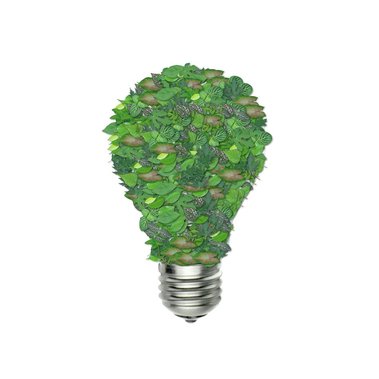 découvrez comment l'éco-innovation transforme les industries en alliant performance économique et durabilité environnementale. explorez des solutions novatrices qui réduisent l'impact écologique tout en stimulant la croissance et la compétitivité.