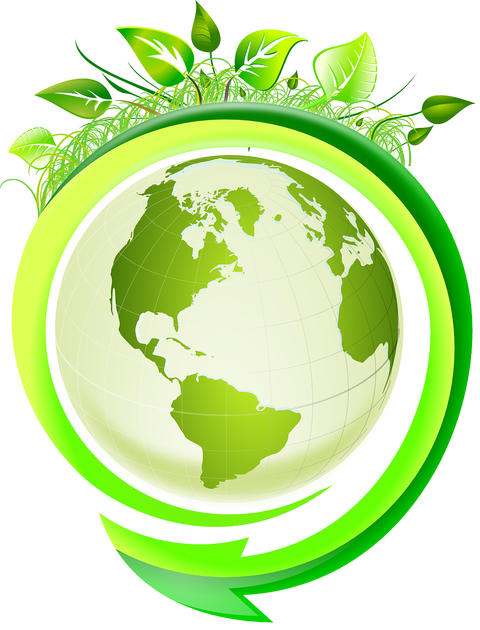 découvrez l'écologie, science essentielle pour comprendre les interactions entre les êtres vivants et leur environnement. explorez des sujets variés tels que la biodiversité, la conservation des ressources naturelles et les solutions durables pour un avenir meilleur.