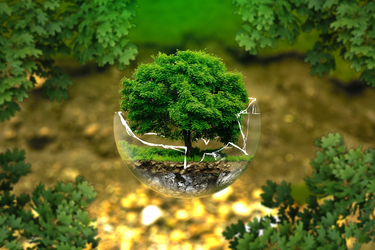 découvrez le journalisme environnemental, une discipline dédiée à la couverture des enjeux écologiques et des histoires inspirantes qui mettent en lumière la lutte pour la protection de notre planète. explorez les défis environnementaux à travers des reportages approfondis et engagez-vous pour un avenir durable.