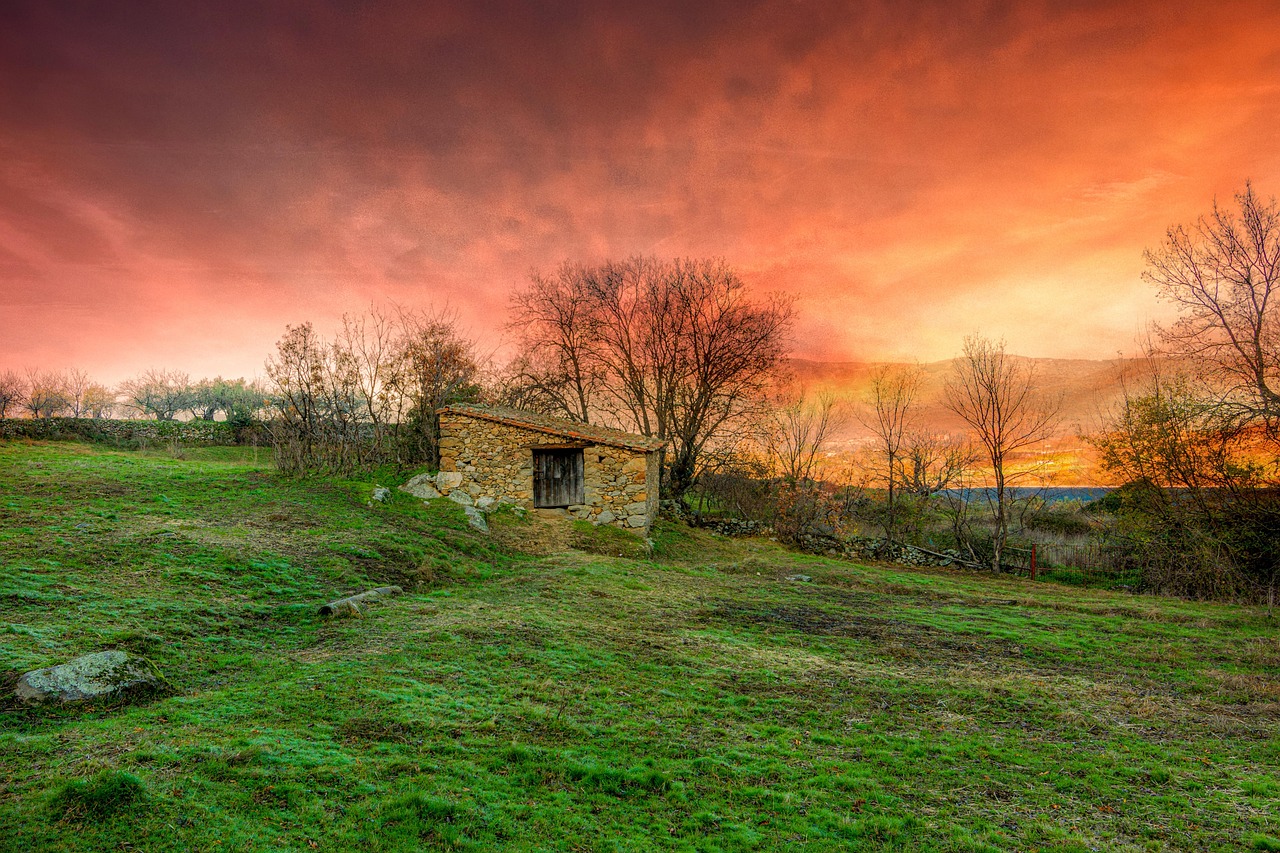 découvrez tout sur la foresterie : gestion durable des forêts, biodiversité, pratiques de sylviculture et l'importance des forêts pour notre environnement. apprenez comment la foresterie contribue à la protection de la planète tout en soutenant les communautés locales.