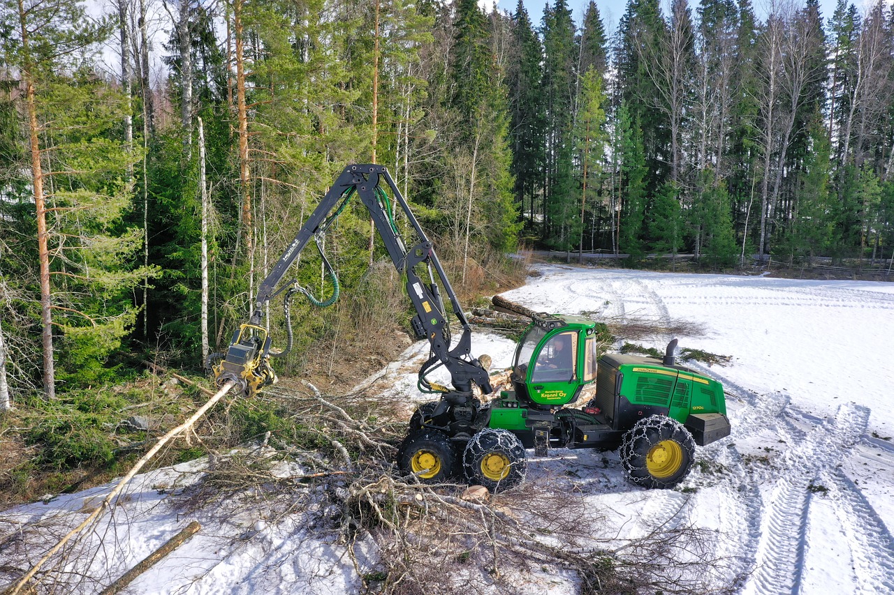 découvrez le monde fascinant de la foresterie, une discipline essentielle qui allie gestion durable des forêts, protection de la biodiversité et exploitation responsable des ressources naturelles. apprenez comment la foresterie contribue à la préservation de notre environnement tout en soutenant les économies locales.