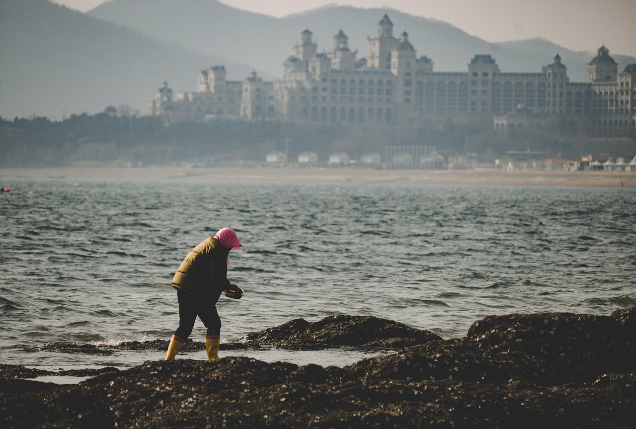découvrez les ressources marines, riches en biodiversité et en opportunités, qui jouent un rôle essentiel dans la durabilité environnementale et le développement économique. explorez les enjeux de la gestion des océans et l'importance de préserver ces précieuses richesses pour les générations futures.