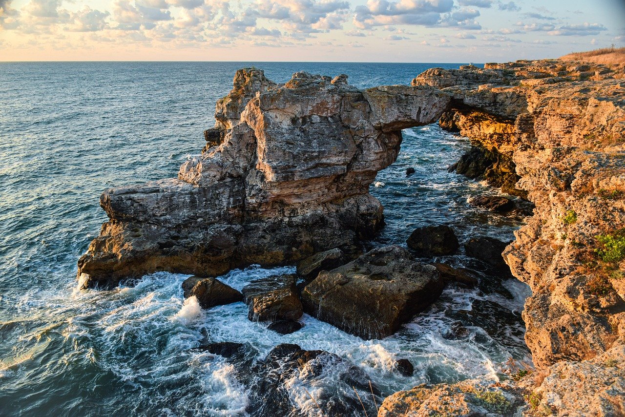 découvrez la beauté fascinante des océans, explorez sa biodiversité incroyable et plongez dans un monde où la vie marine règne en maître. informez-vous sur les enjeux environnementaux et l'importance de préserver nos mers et océans.