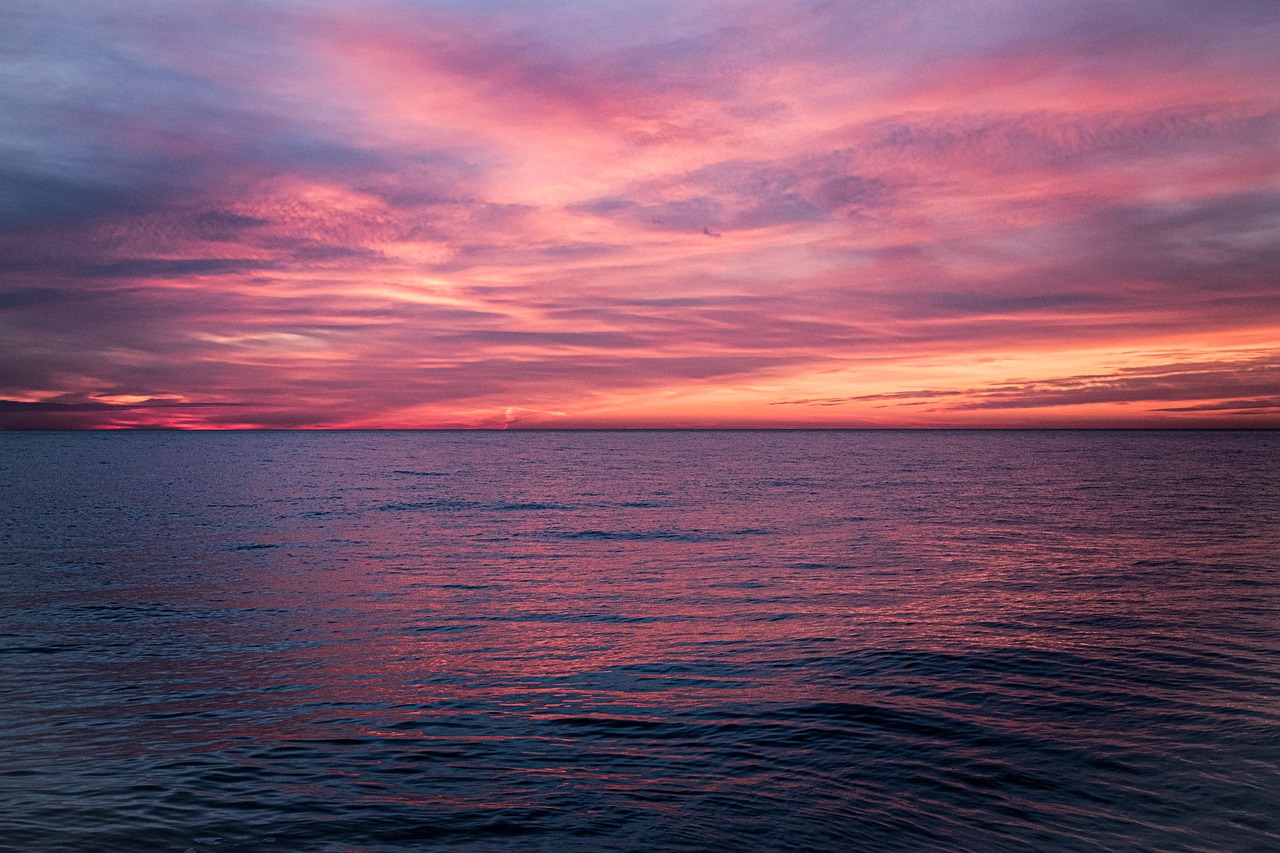 découvrez la beauté et les mystères de l'océan, un monde fascinant riche en biodiversité, où les vagues dansent sous le soleil et où chaque plongée révèle des trésors insoupçonnés.