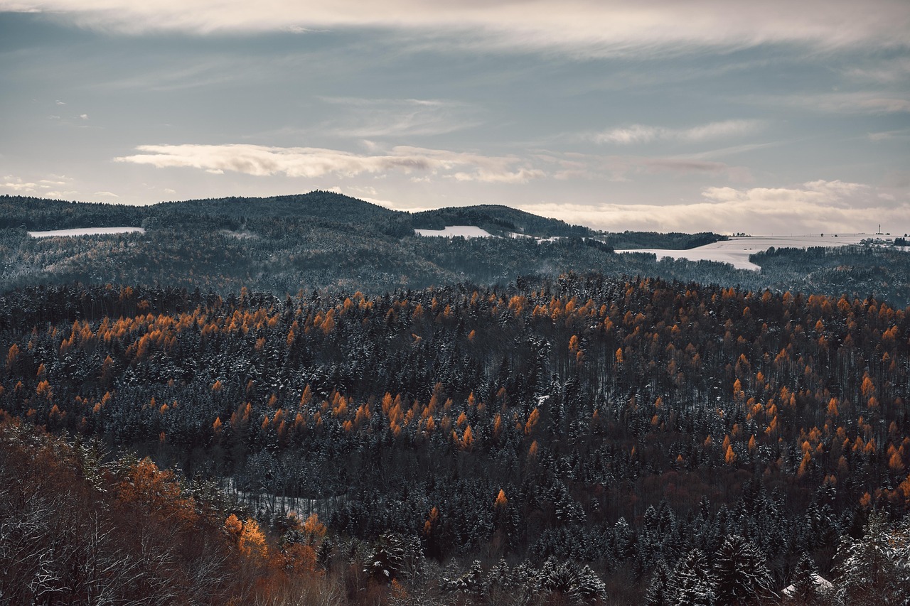 découvrez les conséquences de l'augmentation des températures sur notre planète. comprenez les défis environnementaux, économiques et sociaux liés au changement climatique et explorez des solutions durables pour un avenir meilleur.