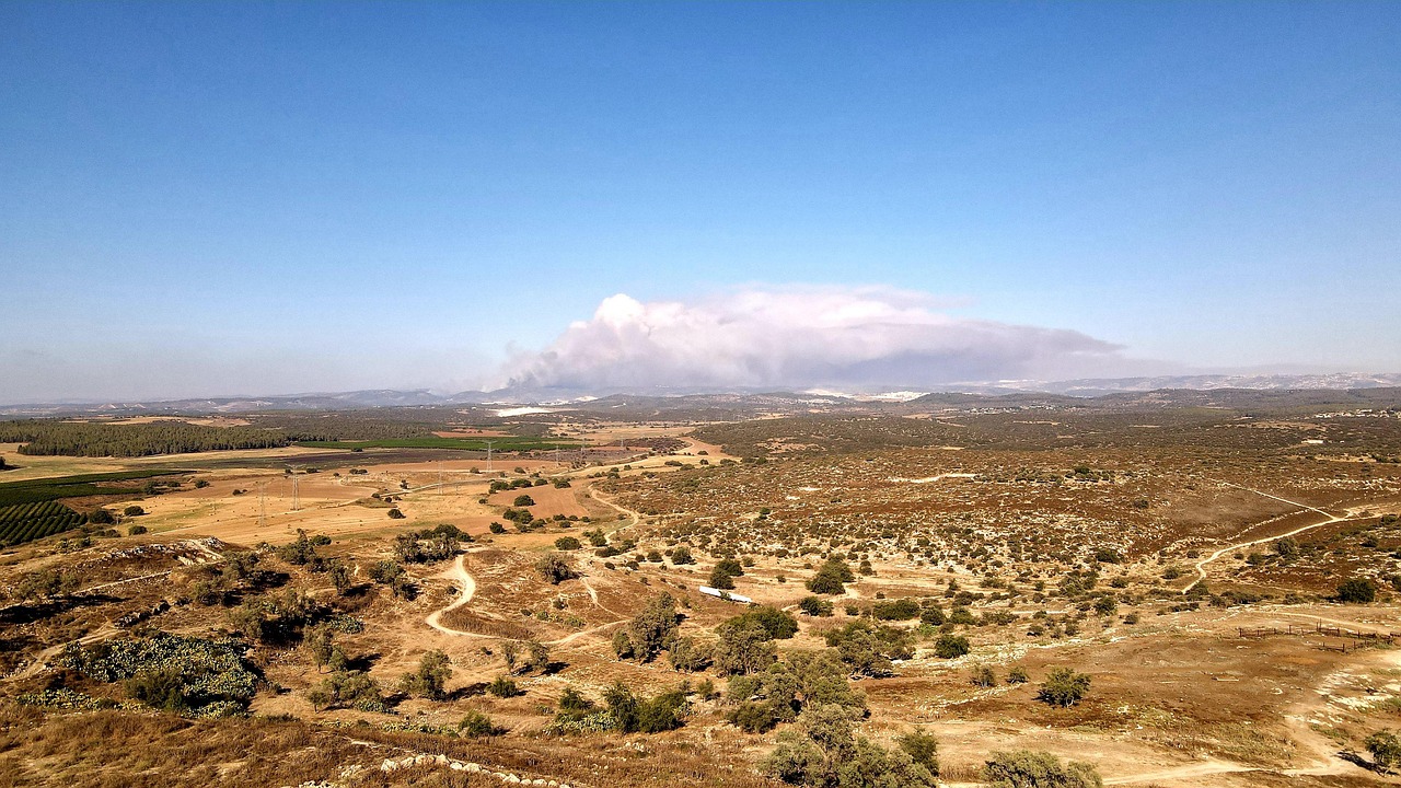 découvrez l'impact des incendies de forêt sur l'environnement et les communautés. apprenez comment la prévention et la gestion des feux peuvent protéger notre planète pour les générations futures.