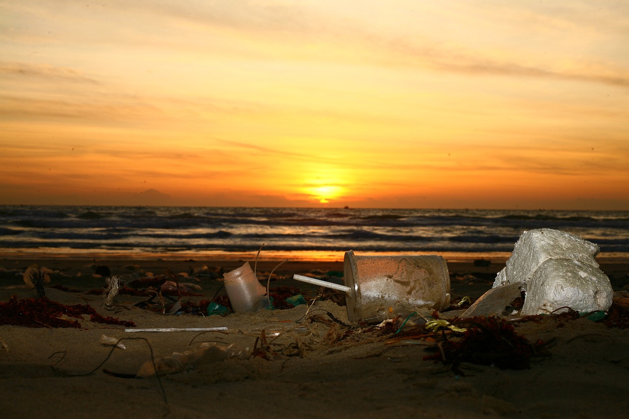 Conférences sur l’écologie : Découvrez les enjeux environnementaux actuels