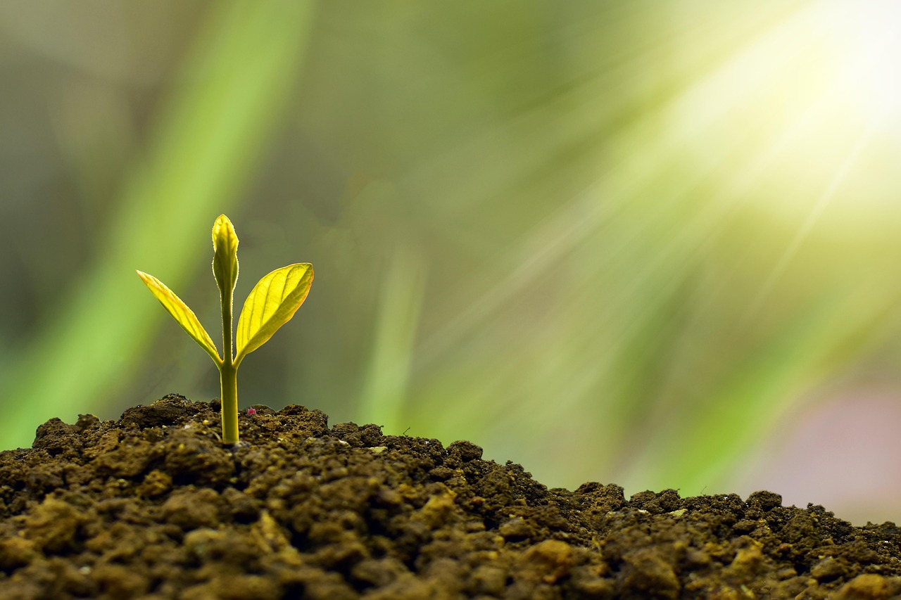 Fonds écologiques : comment investir pour un avenir durable