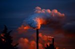 découvrez l'impact environnemental et ses conséquences sur notre planète. apprenez comment nos actions quotidiennes influencent les écosystèmes, le climat et la biodiversité. ensemble, contribuons à un avenir durable.