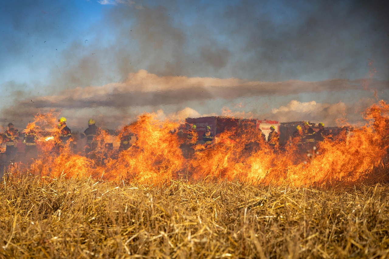 L’augmentation des incendies de forêt liée aux bouleversements climatiques