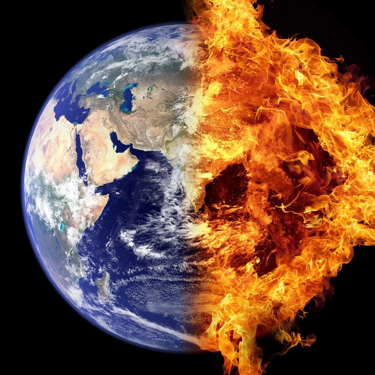 Responsabilité environnementale : agir pour un avenir durable