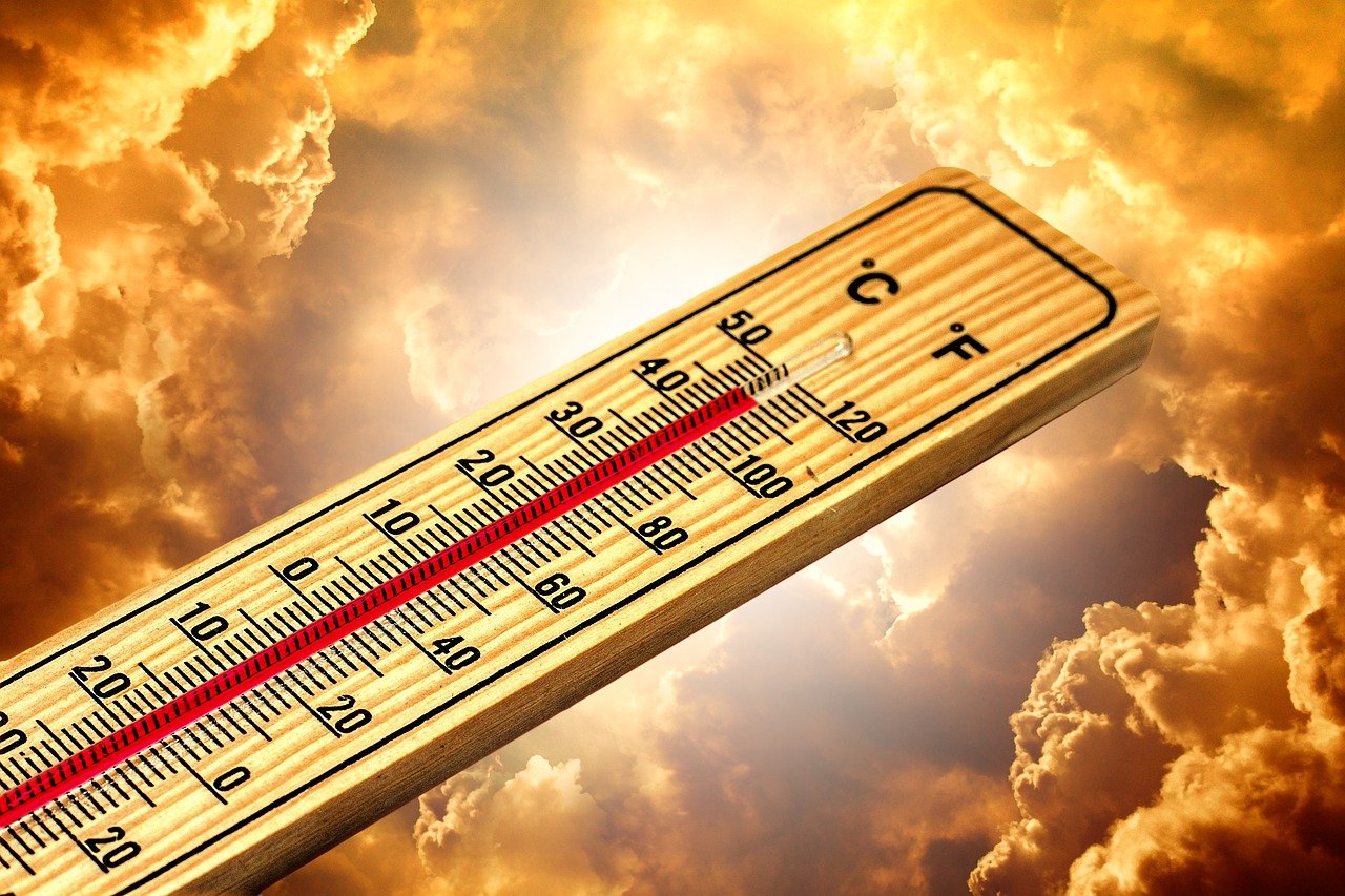 découvrez notre plan énergétique climatique, une initiative essentielle visant à réduire les émissions de carbone, promouvoir les énergies renouvelables et garantir un avenir durable. engagez-vous avec nous pour un monde plus vert et un avenir énergétique responsable.