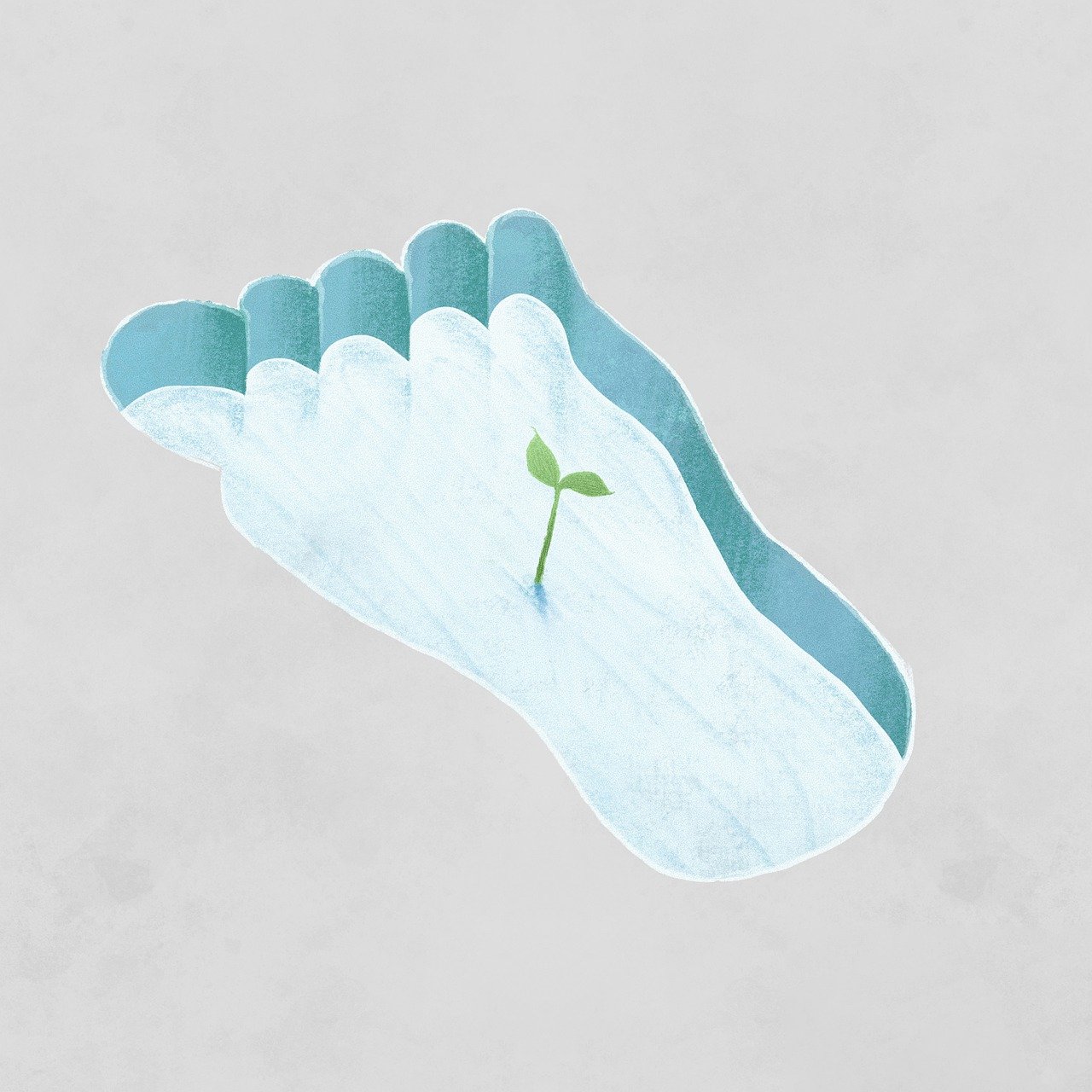 découvrez l'empreinte écologique, un indicateur essentiel qui mesure l'impact de nos activités sur l'environnement. apprenez comment réduire votre empreinte et contribuer à un avenir durable pour notre planète.