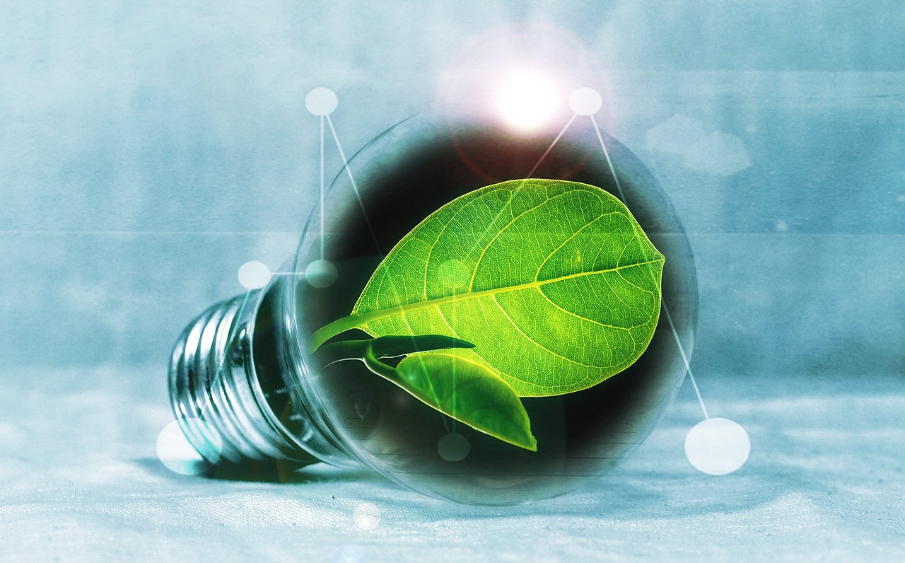 découvrez les enjeux et opportunités de la transition énergétique, un processus essentiel pour un avenir durable. explorez les solutions innovantes et les technologies vertes qui transforment notre façon de produire et de consommer de l'énergie.
