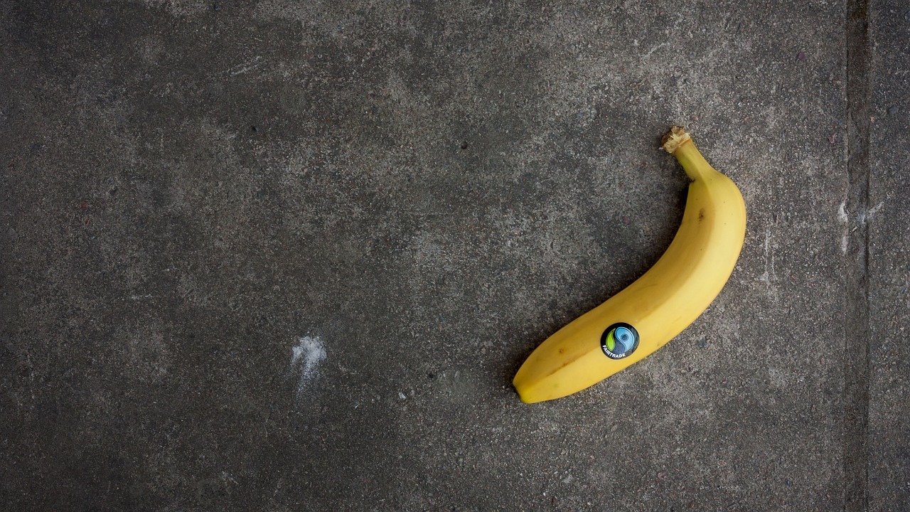 découvrez les avantages du commerce équitable, un modèle qui privilégie la durabilité, le respect des producteurs et une consommation responsable. engagez-vous pour un monde plus juste et éthique grâce au fair trade.