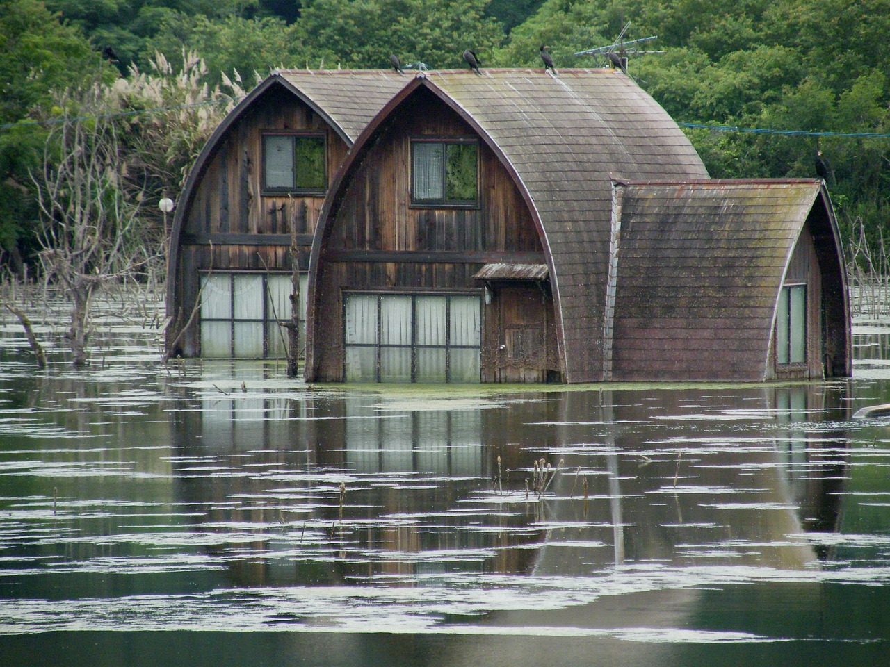 découvrez l'impact des inondations sur l'environnement, l'économie et la société. apprenez les causes, les conséquences et les mesures de prévention face à ce phénomène naturel qui affecte de nombreuses régions à travers le monde.