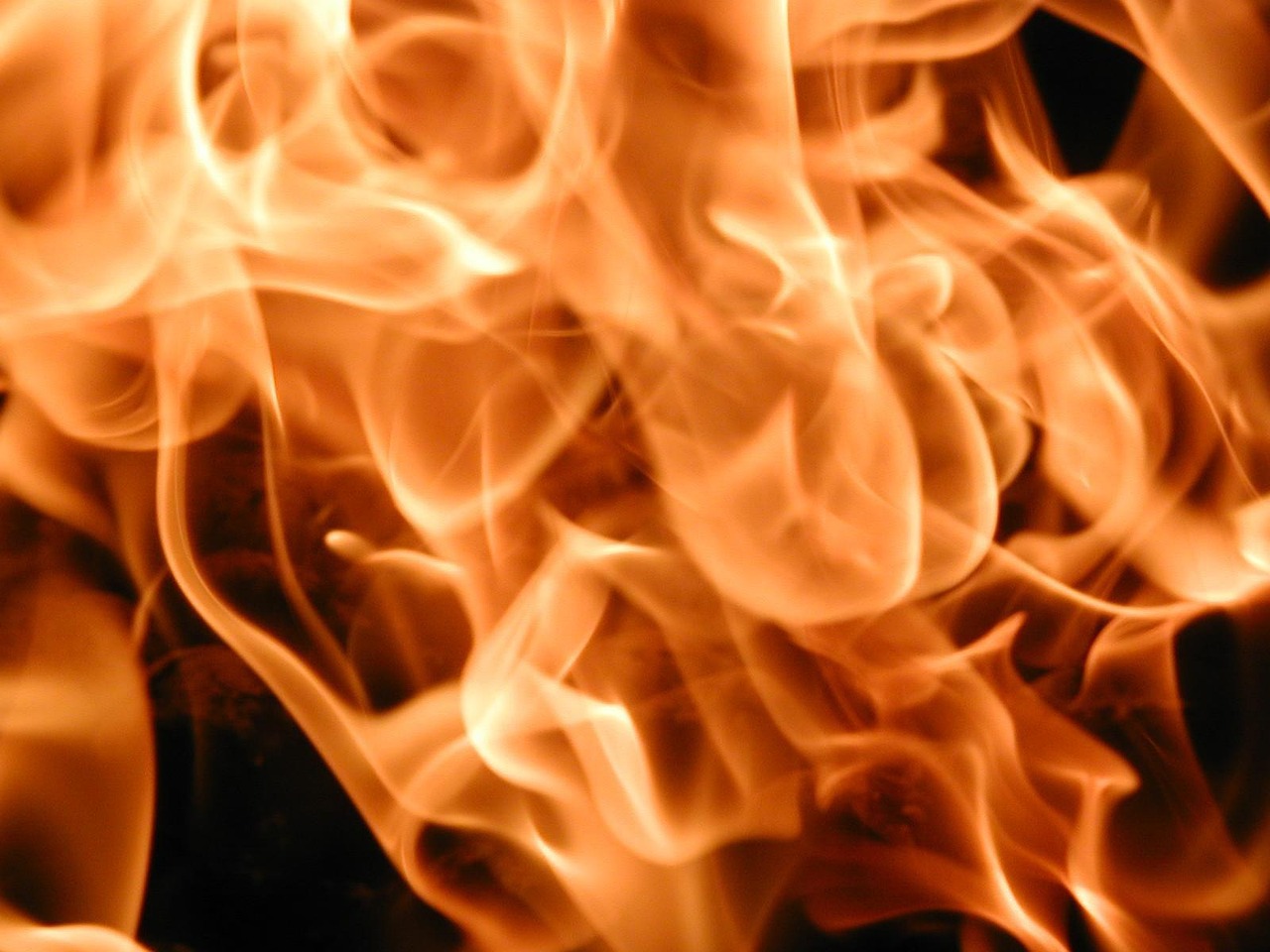 découvrez tout sur les combustibles fossiles : leur formation, leur utilisation, et les enjeux environnementaux qu'ils soulèvent. explorez comment ces ressources naturelles influencent notre avenir énergétique et les efforts pour la transition vers des alternatives durables.