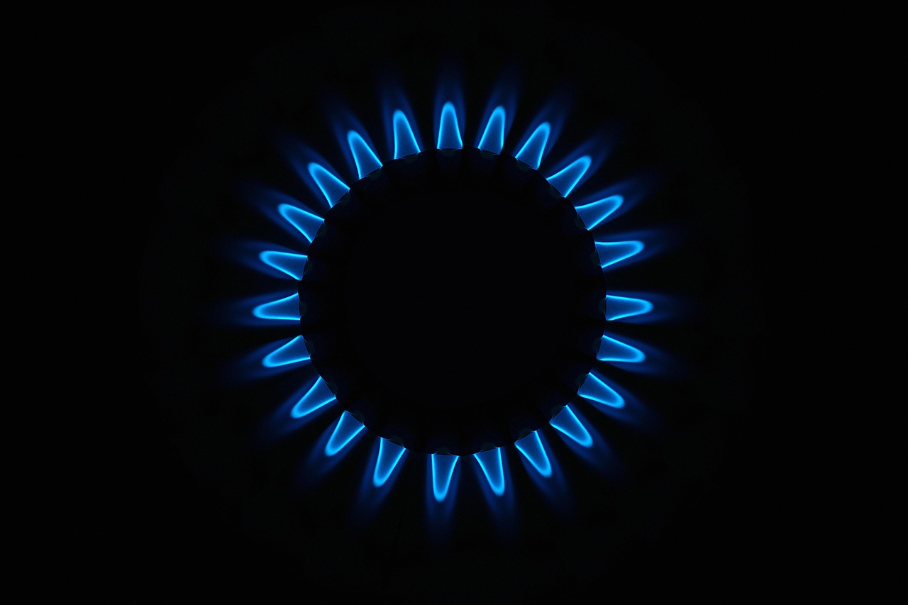 découvrez tout sur les combustibles fossiles, leur impact sur l'environnement, les enjeux énergétiques et les alternatives durables pour un avenir plus vert.