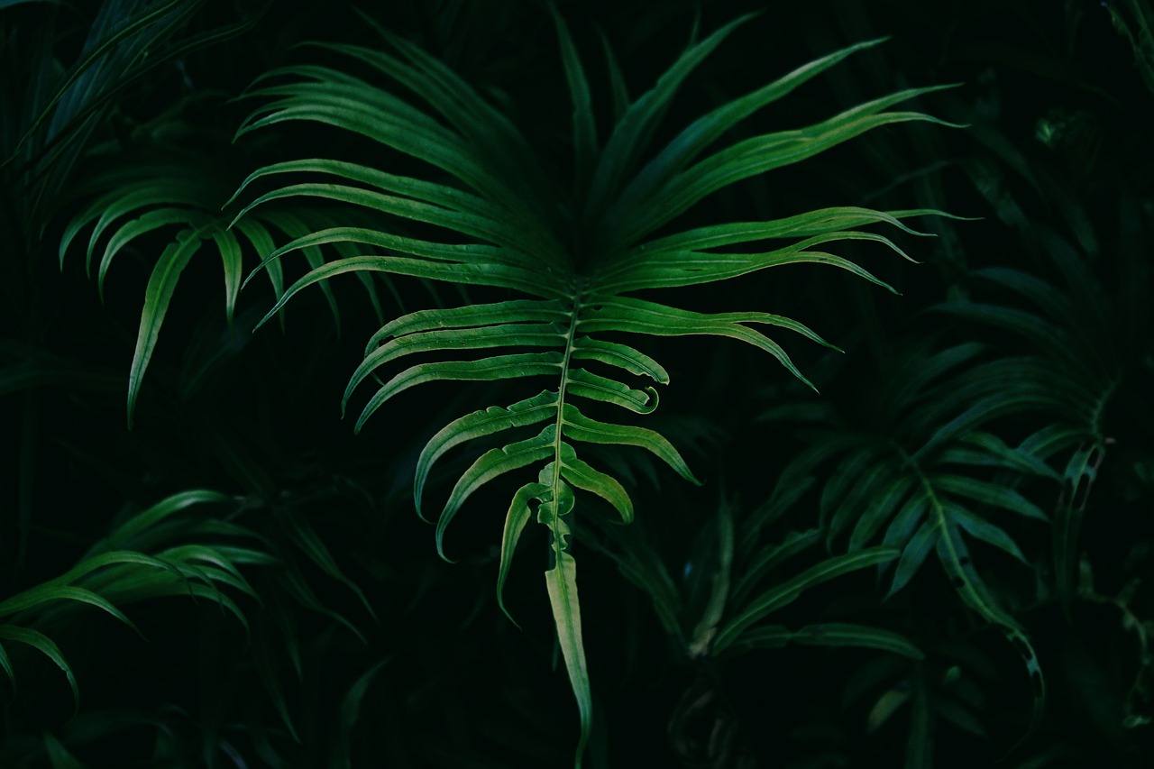 découvrez les entreprises vertes qui s'engagent pour la durabilité et la protection de l'environnement. explorez des initiatives innovantes, des pratiques écoresponsables et des solutions écologiques mises en place par des leaders du secteur.