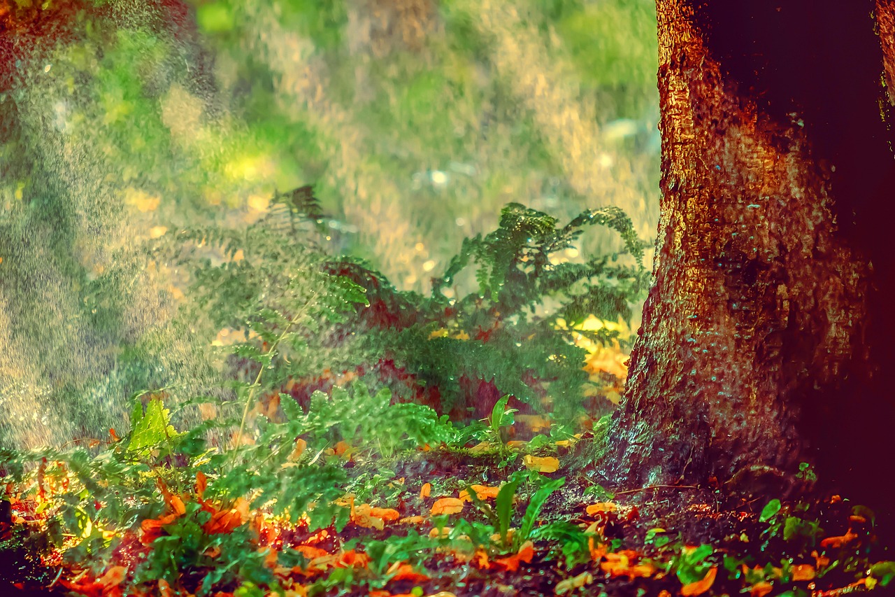 découvrez les effets des vagues de chaleur sur notre environnement et notre santé. apprenez à vous protéger et à vous adapter face à ces phénomènes climatiques extrêmes.
