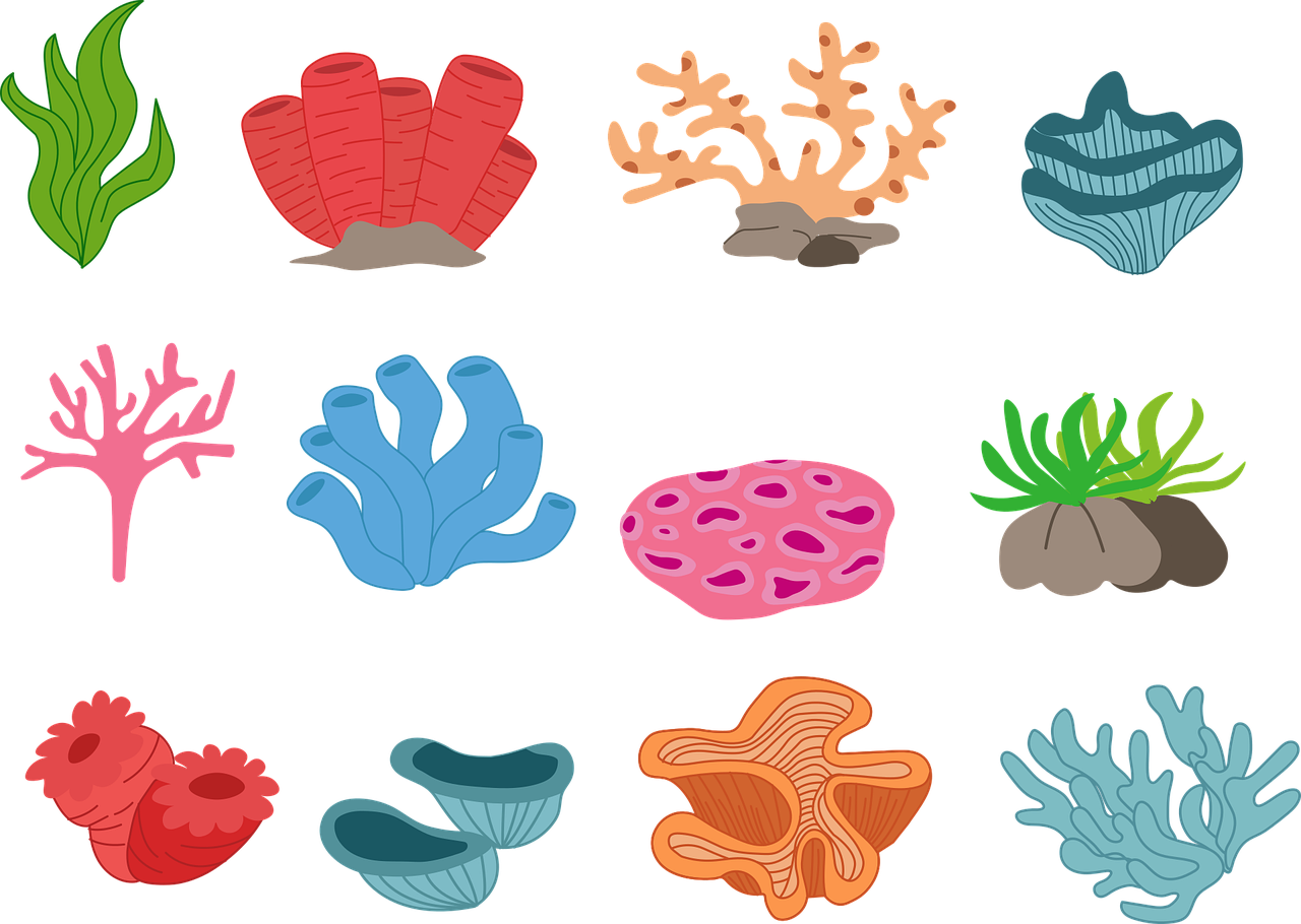 découvrez la richesse de la biodiversité marine, essentielle à l'équilibre des écosystèmes océaniques. explorez les différentes espèces, leur habitat et l'importance de leur préservation pour l'avenir de notre planète.