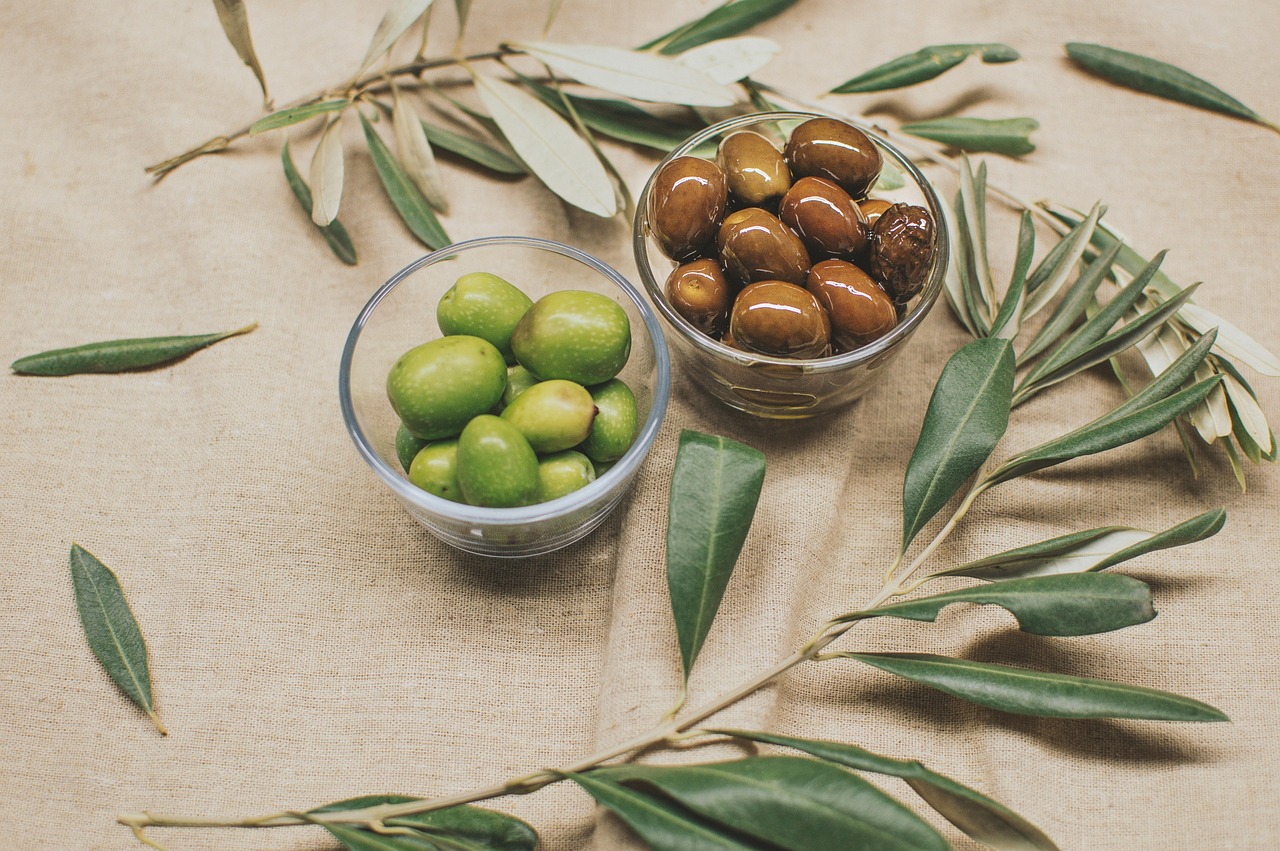 découvrez l'univers fascinant des oliviers, symboles de paix et de sagesse. apprenez tout sur leur culture, leurs variétés, et leurs nombreux bienfaits pour la santé et la cuisine. plongez dans l'art de l'oléiculture et savourez l'huile d'olive, l'un des trésors de la méditerranée.