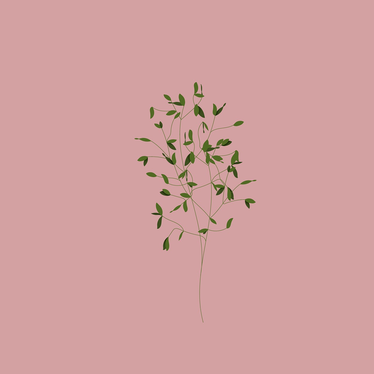 découvrez l'univers fascinant des oliviers, ces arbres aux feuilles vertes argentées et aux fruits savoureux. apprenez tout sur leur culture, leurs bienfaits et leur importance dans la cuisine méditerranéenne.