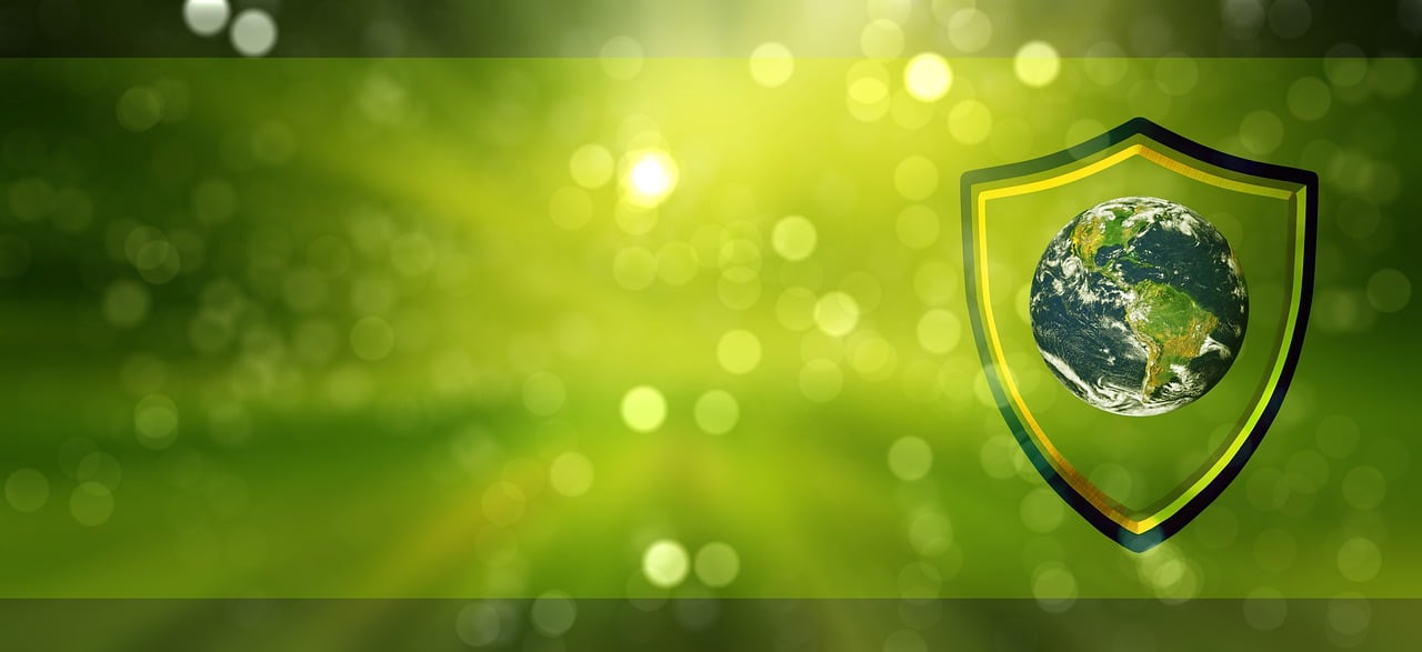 découvrez les systèmes de protection régionale, conçus pour renforcer la sécurité et la résilience des communautés face aux menaces environnementales et sociales. explorez les stratégies innovantes et les politiques efficaces mises en place pour garantir un avenir durable et sécurisé.