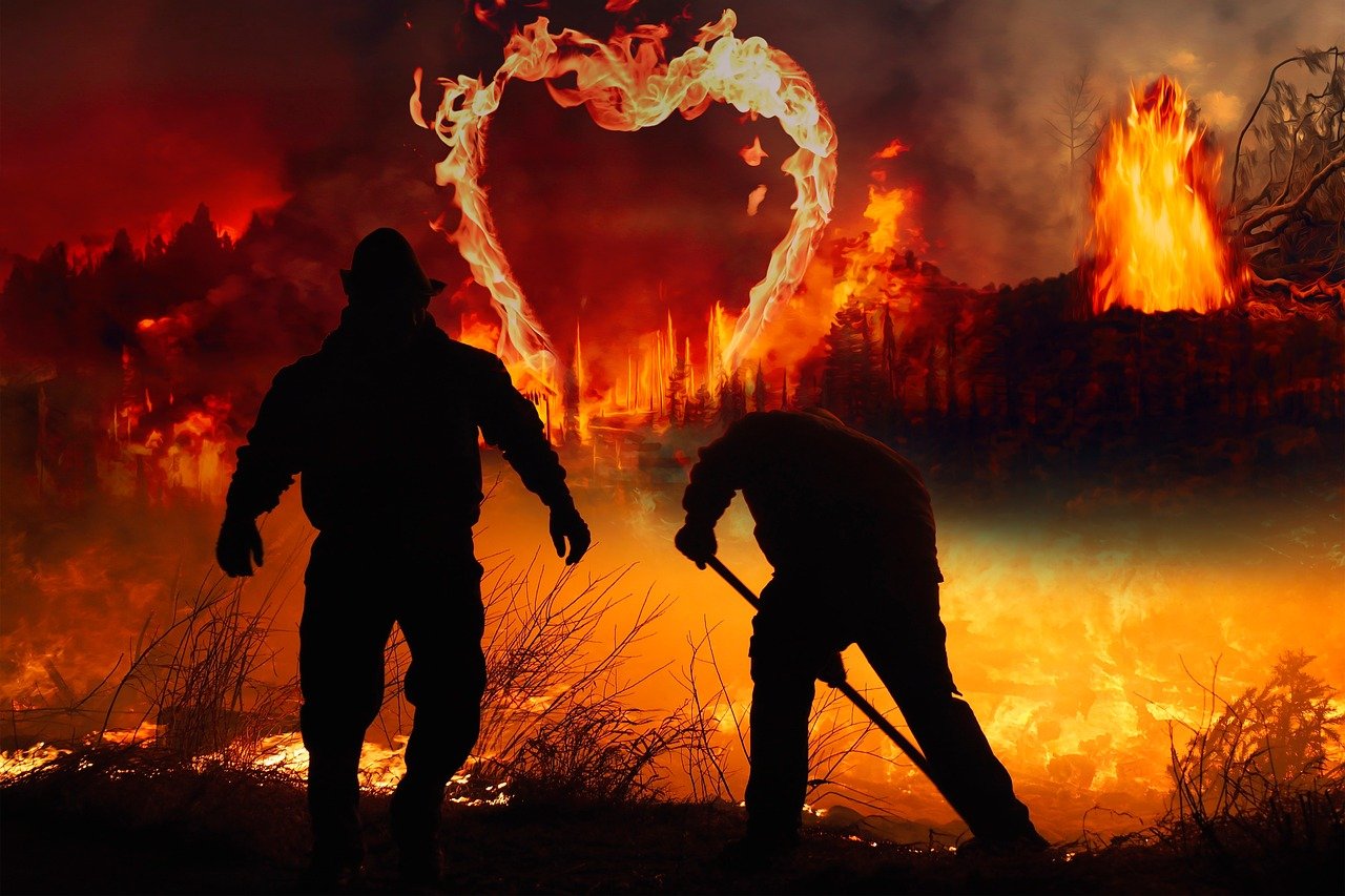 découvrez l'impact des incendies de forêt sur l'environnement, la faune et les communautés. explorez les causes, les conséquences et les stratégies de prévention des feux de forêt pour protéger notre planète.