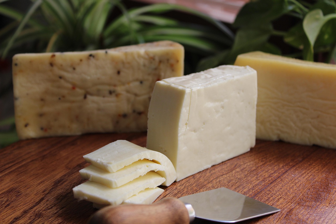 tout sur le fromage : variétés, origines, accords mets-vins et conseils de dégustation. guide pratique avec idées de recettes pour amateurs et curieux.