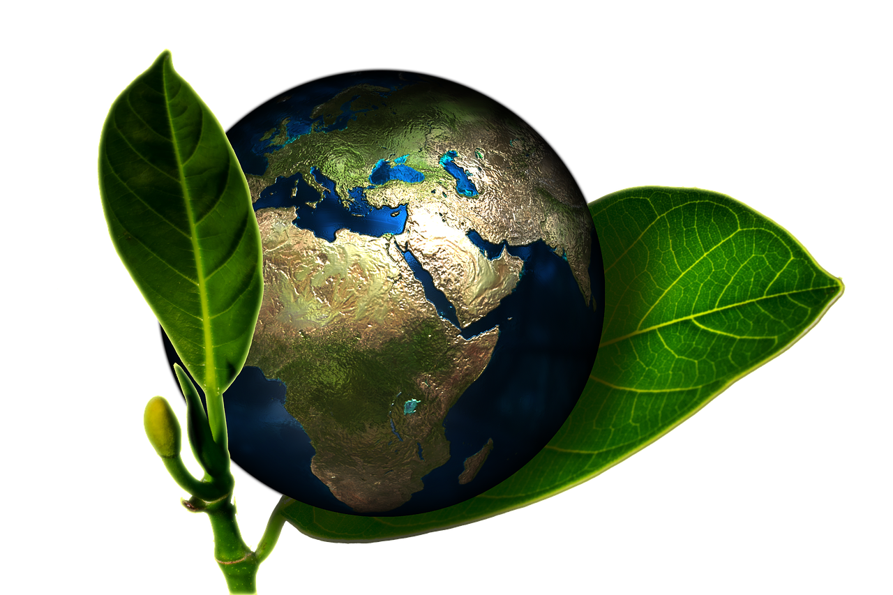 restez informé sur les dernières actualités écologiques, innovations vertes et initiatives pour la protection de la planète. découvrez chaque jour les enjeux et solutions pour un avenir durable.