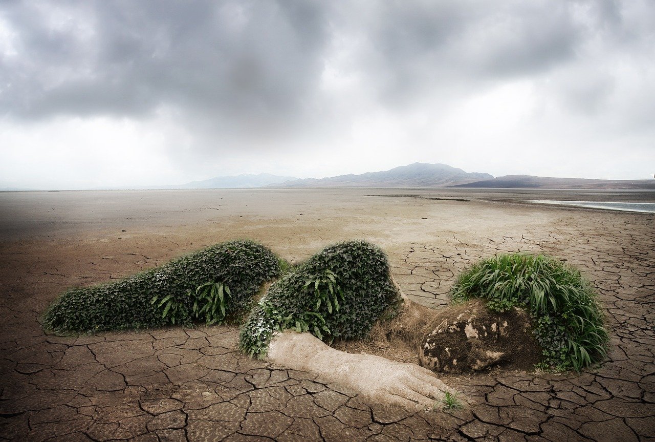 découvrez le rôle des ong environnementales : leurs actions, missions et impact dans la protection de la planète et la sensibilisation aux enjeux écologiques.