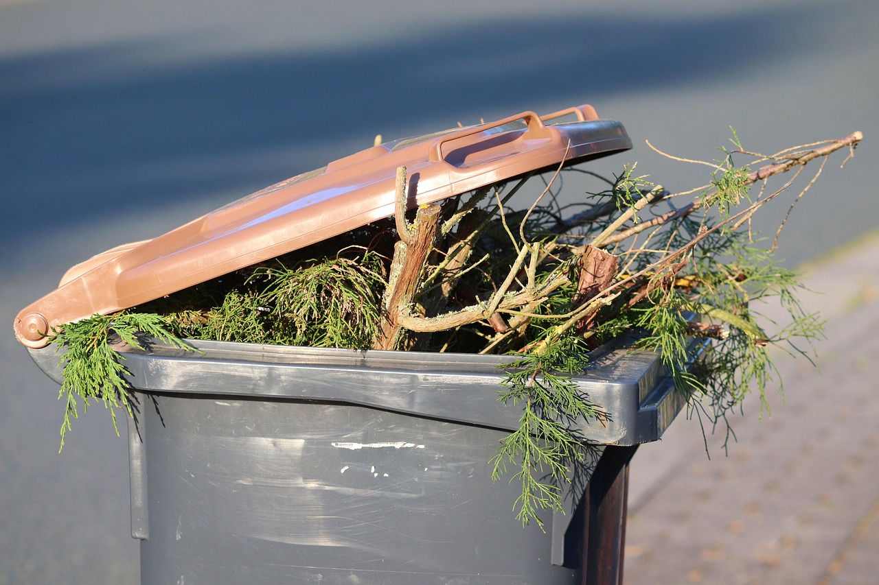 découvrez des stratégies efficaces de réduction des déchets pour adopter un mode de vie durable. apprenez à minimiser votre impact environnemental grâce à des conseils pratiques et des astuces écologiques.