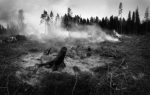 découvrez tout ce qu'il faut savoir sur les incendies de forêt : causes, conséquences, prévention et solutions pour protéger l'environnement et la population.