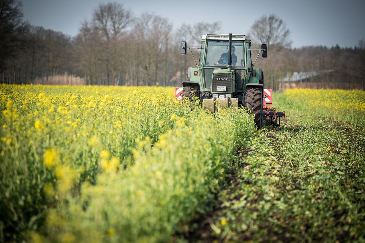 découvrez l'éducation agricole : formations, métiers et innovations pour apprendre les pratiques agricoles modernes et développer vos compétences dans le secteur de l'agriculture.
