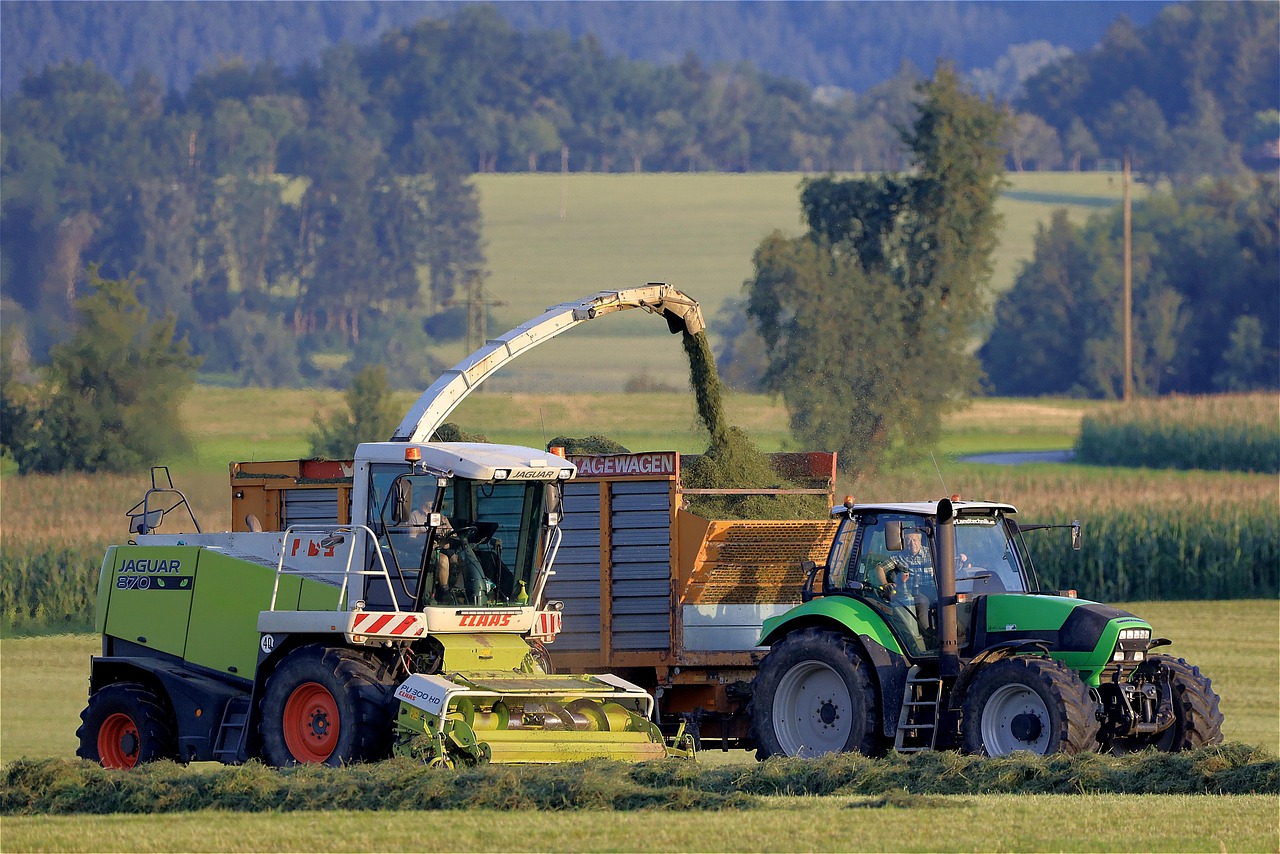 découvrez comment l'éducation agricole forme les futurs professionnels du secteur, transmettant compétences pratiques et connaissances scientifiques essentielles pour une agriculture durable et innovante.