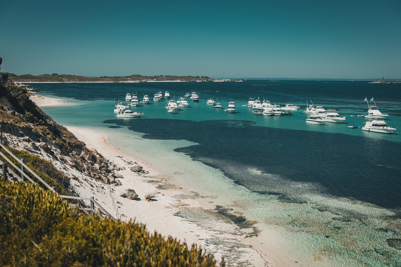 découvrez l'australie, un pays fascinant aux paysages spectaculaires, une faune unique et des villes dynamiques. préparez votre voyage, trouvez des conseils pratiques et explorez les incontournables de l'australie !
