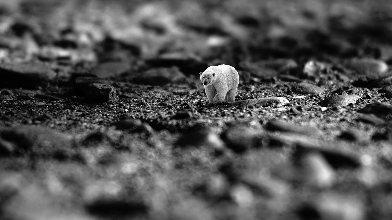 découvrez les bases et les enjeux de la science du climat : études des causes, des effets et des solutions au changement climatique pour mieux comprendre l'environnement de notre planète.