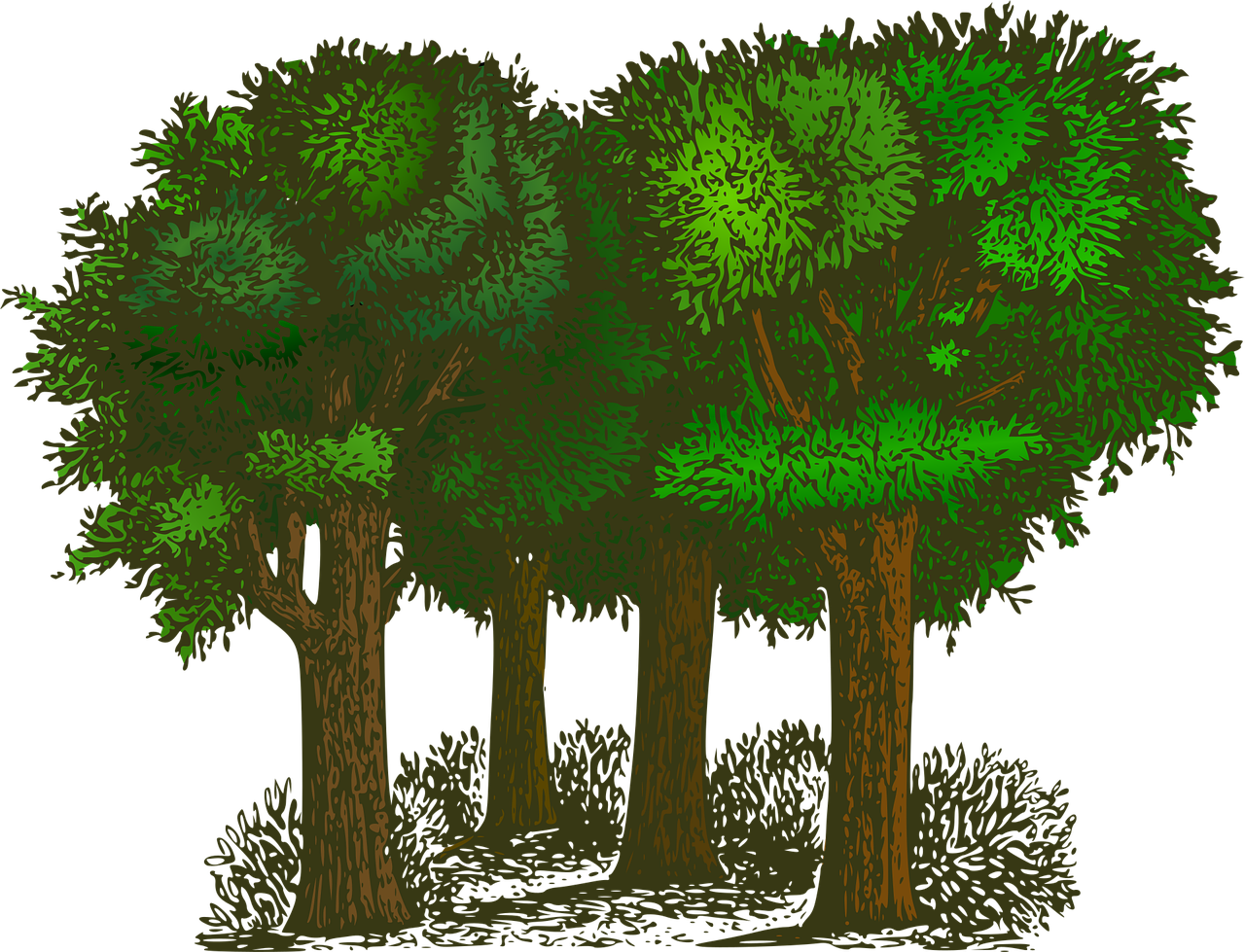 découvrez tout sur l'environnement : actualités, enjeux écologiques, conseils pour préserver la planète, et solutions pour un avenir durable.