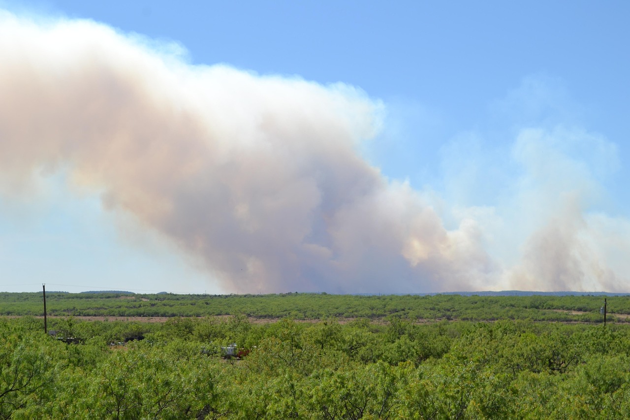 découvrez tout ce qu'il faut savoir sur les incendies de forêt : causes, impacts sur l'environnement, prévention et conseils pour s'en protéger.