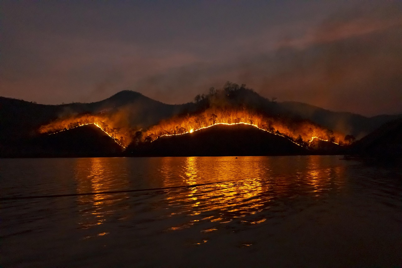 découvrez tout ce qu'il faut savoir sur les feux de forêt : causes, conséquences et mesures de prévention pour protéger l'environnement et les populations.
