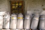 découvrez les étapes essentielles de la production de fromage : de la sélection du lait aux techniques d'affinage, explorez le savoir-faire et les secrets des maîtres fromagers.