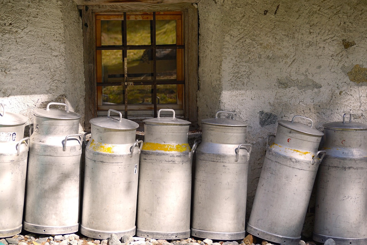 découvrez les étapes essentielles de la production de fromage : de la sélection du lait aux techniques d'affinage, explorez le savoir-faire et les secrets des maîtres fromagers.