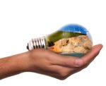 découvrez les enjeux et solutions de la transition écologique pour un avenir plus durable, respectueux de l’environnement et des générations futures.