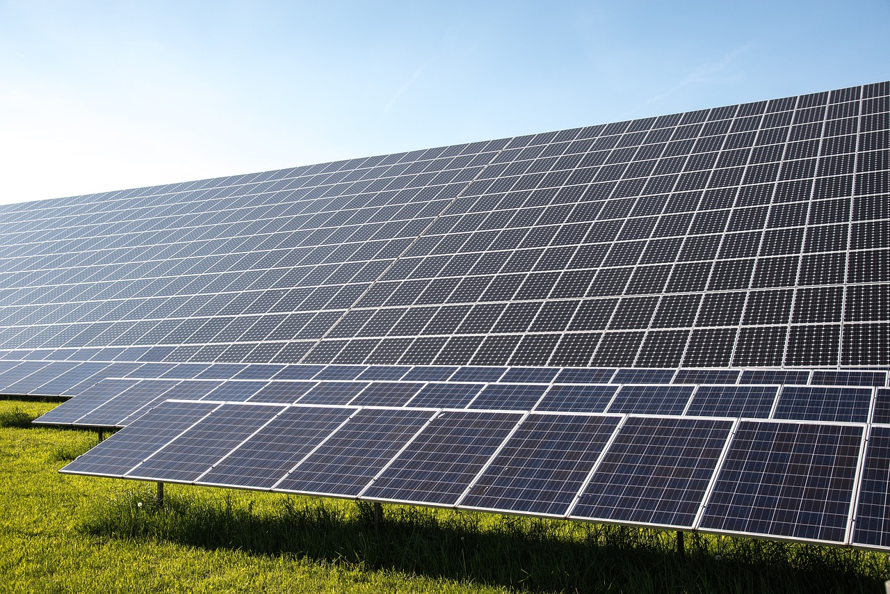 découvrez les enjeux, actions et solutions pour réussir la transition écologique, construire un avenir durable et protéger l’environnement face aux défis actuels.